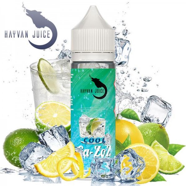Cool Gazoz Aroma von Hayvan Juice
